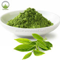 polvo de té verde matcha orgánico certificado halal natural